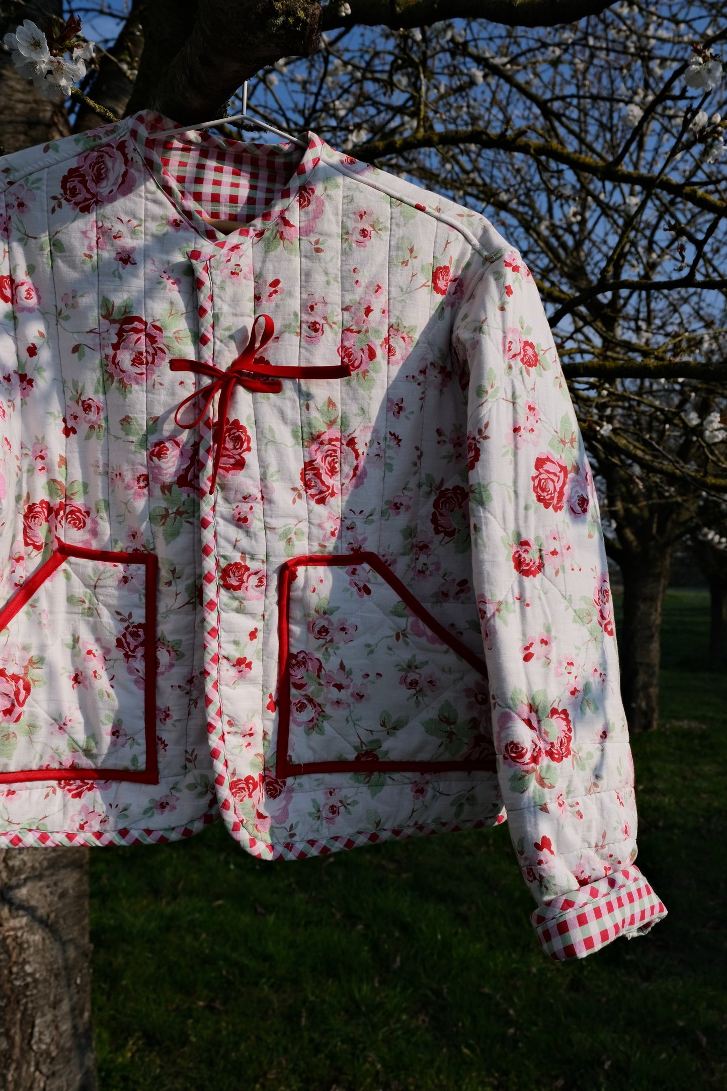 Veste roses