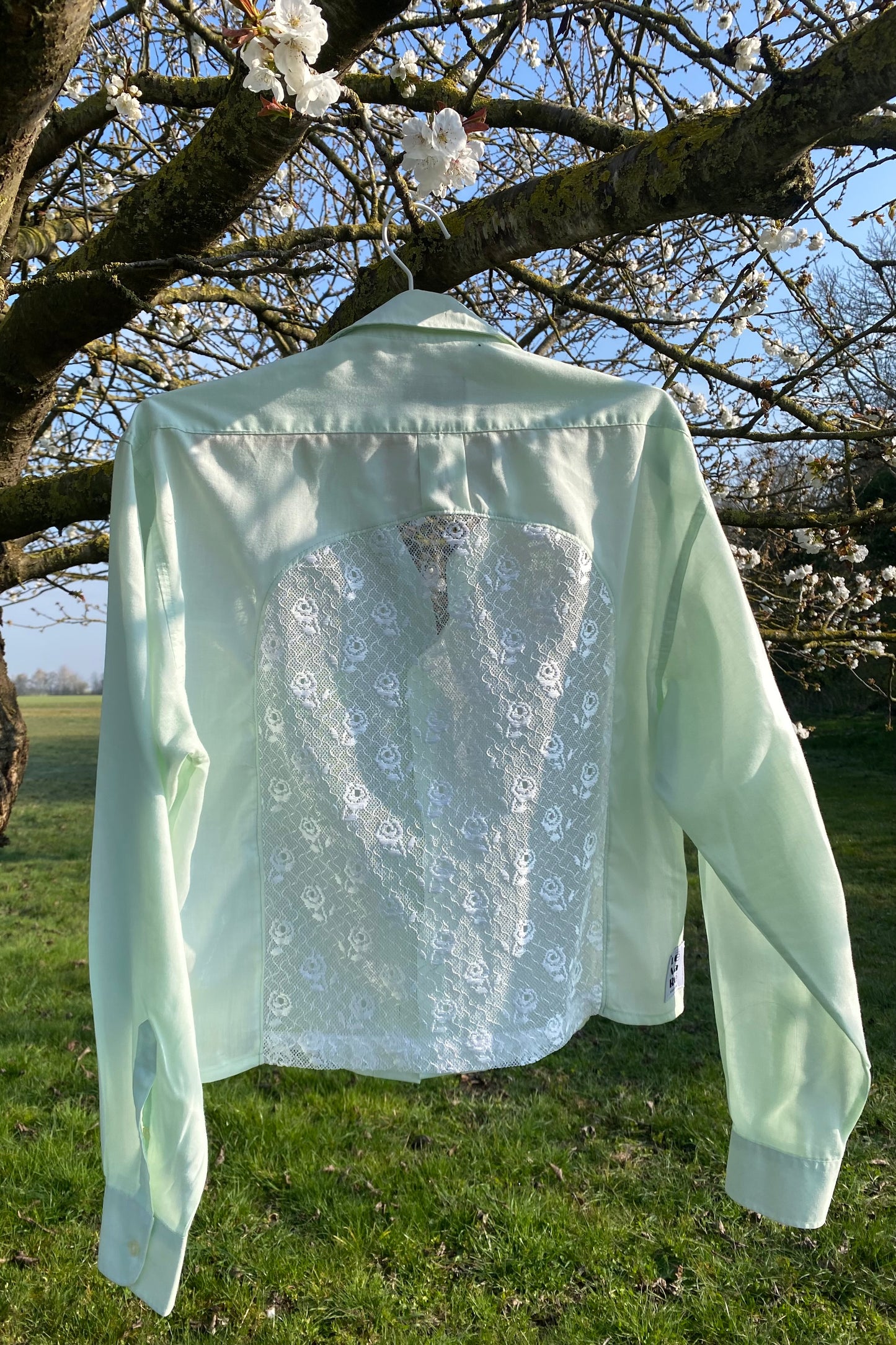 Chemise Verte Jeune pousse