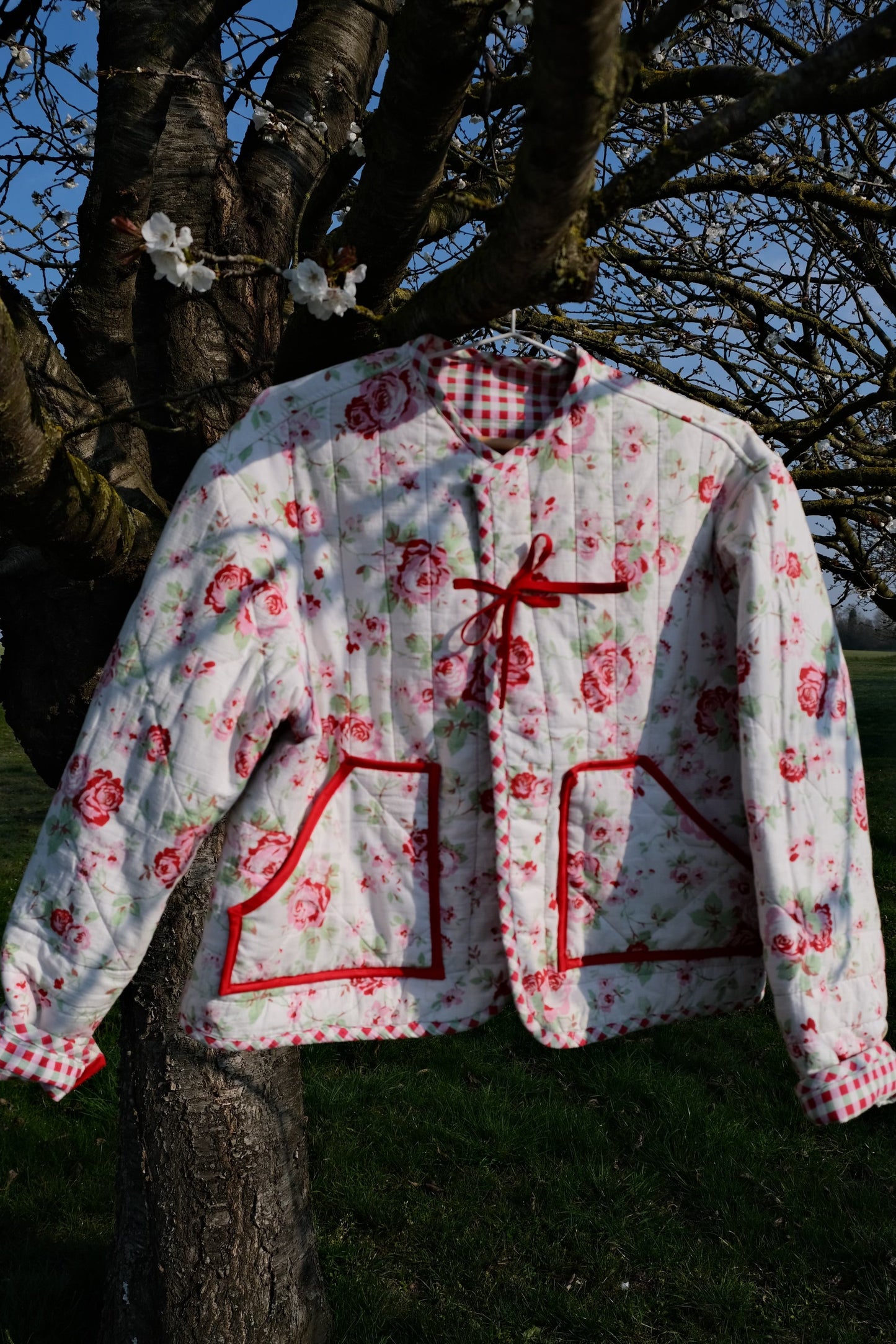 Veste roses