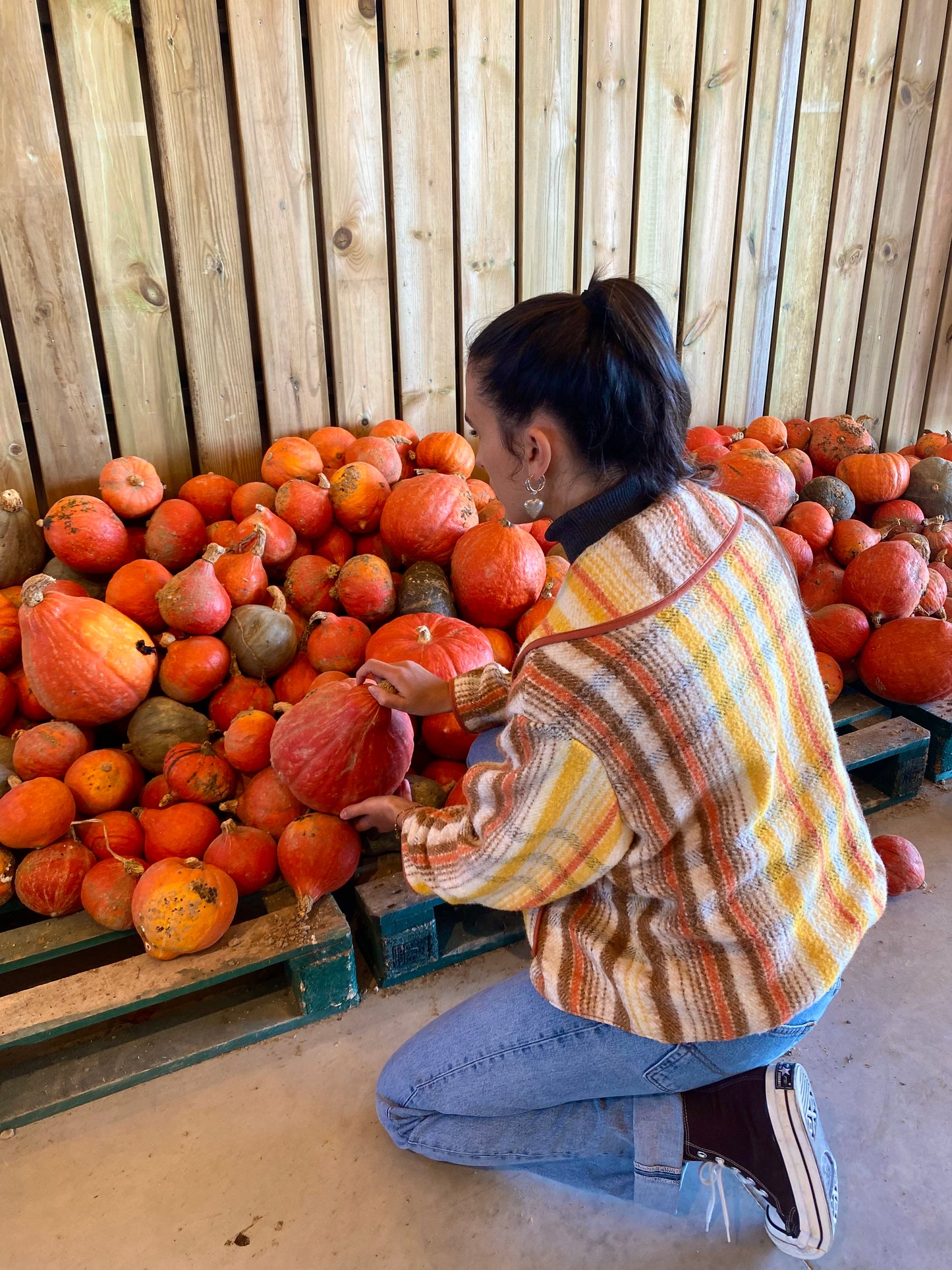 Veste Brume orangée